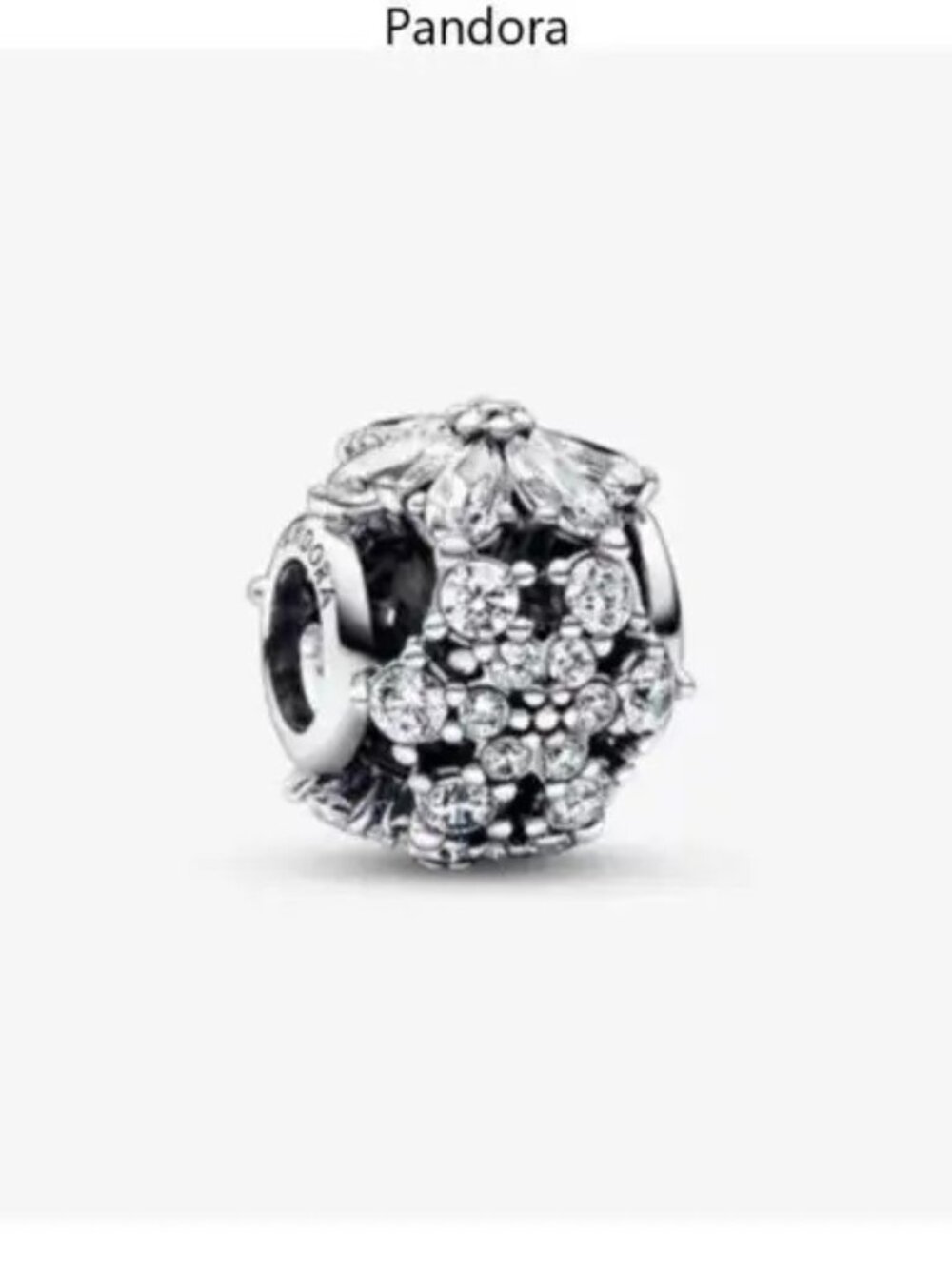 Pandora Sparkling Herbarium Cluster Round Charm